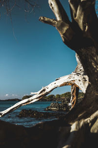 Scenic view of sea against clear sky