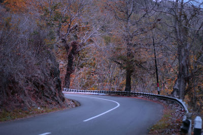 Empty road amidst trees