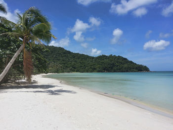 Scenic view of beach against blue sky