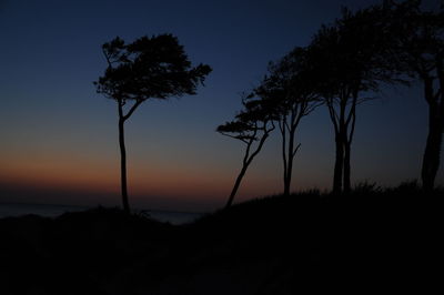 Silhouette trees on landscape against sky at night