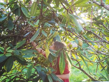 Low angle view of tree against sky