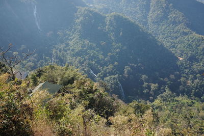 High angle view of trees and mountains