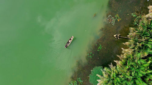 High angle view of swimming in lake