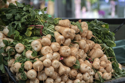 Close-up of radishes for sale in market