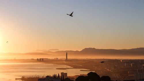 Bird flying over sea against clear sky during sunset