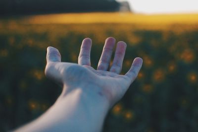 Close-up of hand against blurred background