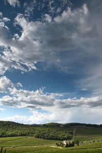 Scenic view of agricultural field against sky