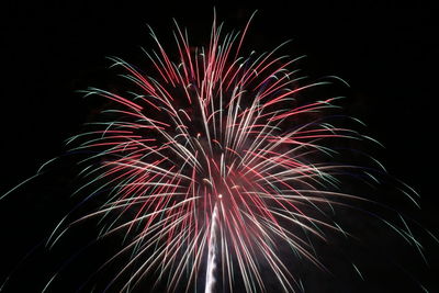 Low angle view of firework display at night