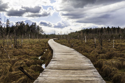 Hiking trail on planks that go across the moor in the forest.