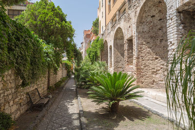 Footpath amidst trees and buildings against sky