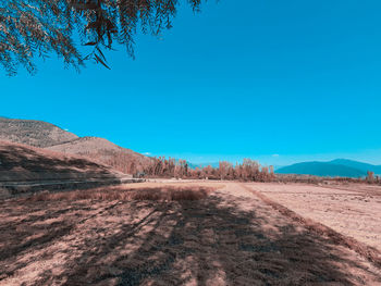 Scenic view of landscape against clear blue sky