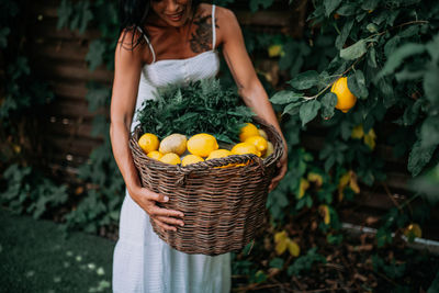 Woman holding fruits in basket