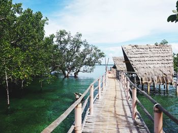 Wooden pier amidst plants against sky