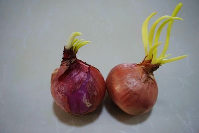 Close-up of fruits on table