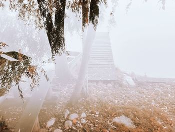 Surreal scenery by riverbank with wooden pier and willow tree