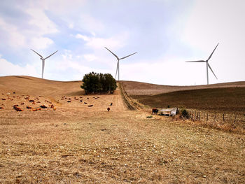 Wind turbines on field against sky