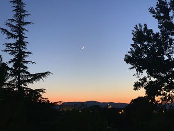 Silhouette trees against sky during sunset