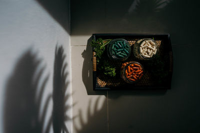 High angle view of plant against wall