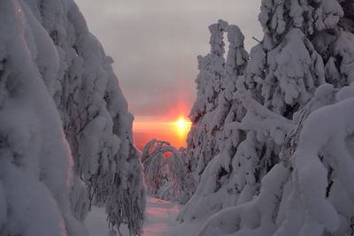 Snow covered land against sky during sunset