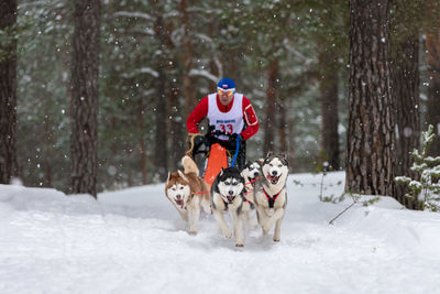 View of a dog on snow covered land