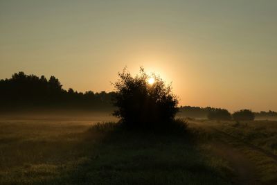 Scenic view of landscape at sunset