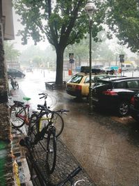 Bicycle parked by tree in city