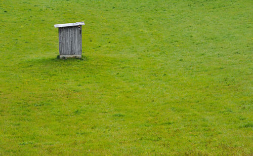 Green grass on field