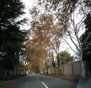 Road amidst trees against sky