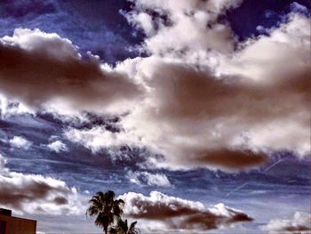 Low angle view of trees against cloudy sky