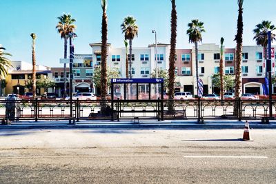 Palm trees and buildings against clear sky