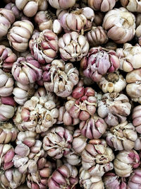 Full frame shot of onions for sale at market stall