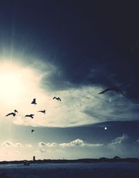 Seagulls flying over sea against sky