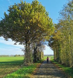 Rear view of person walking on field against sky