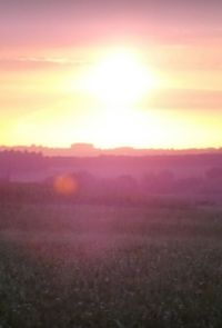 Scenic view of field against sky during sunset