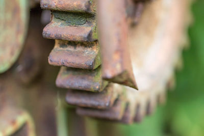 Close-up of rusty metal