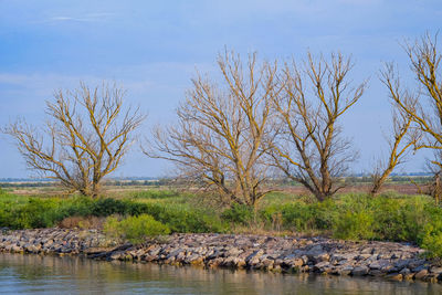 Scenic view of river against sky