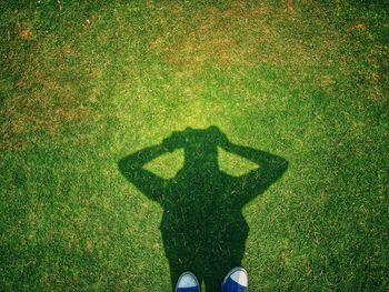 Shadow of man standing on grassy field