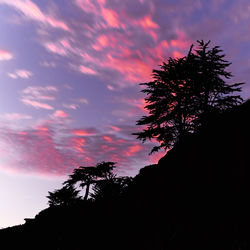 Low angle view of silhouette tree against sky at sunset