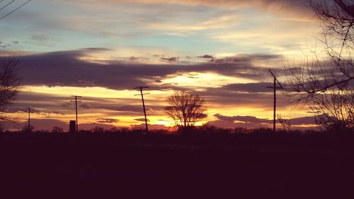 Silhouette of trees at sunset