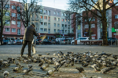 Rear view of man walking on street