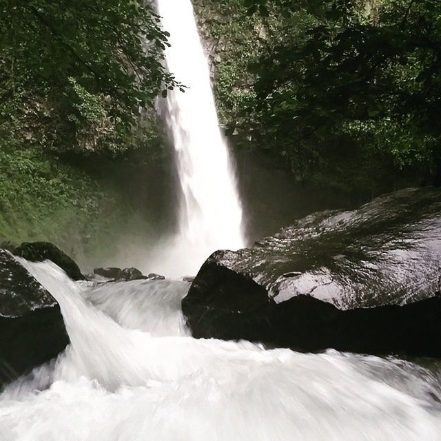 WATERFALL IN FOREST