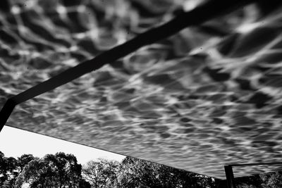 View of trees against sky