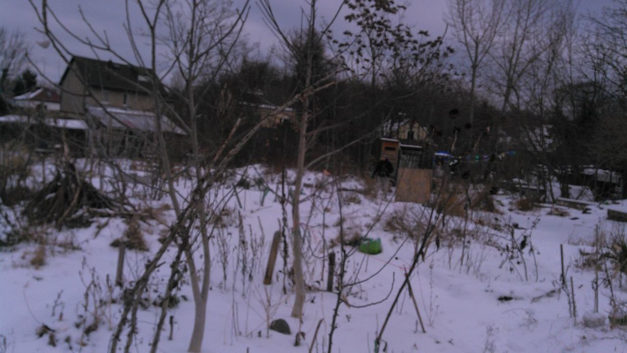 PLANTS AND HOUSES ON SNOW COVERED FIELD AGAINST BUILDINGS