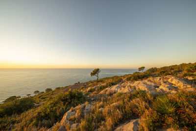 Scenic view of sea against clear sky