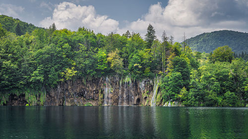 Scenic view of trees by lake against sky