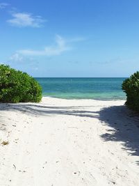 Scenic view of beach against blue sky