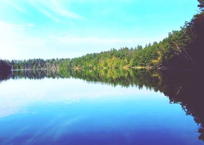 Reflection of trees in lake against sky