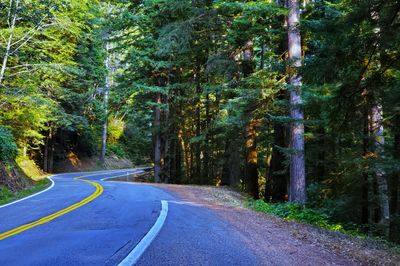 Lonely road along us highway 1