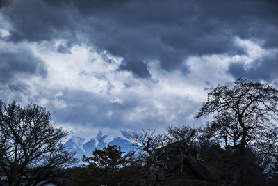 Low angle view of trees against cloudy sky