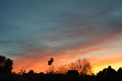 Silhouette trees against sky during sunset